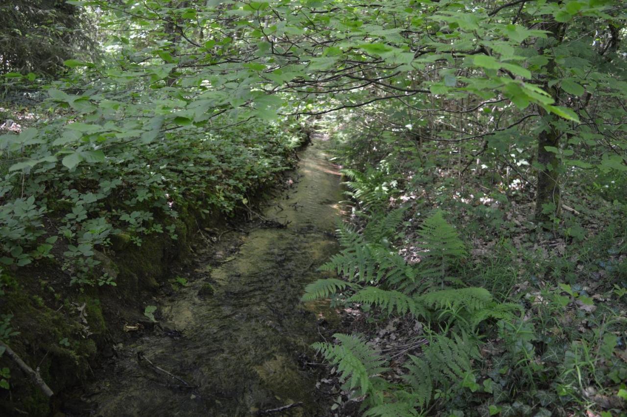 Le Moulin De Chatillon Saint-Leger المظهر الخارجي الصورة
